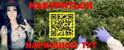 каннабис Будённовск