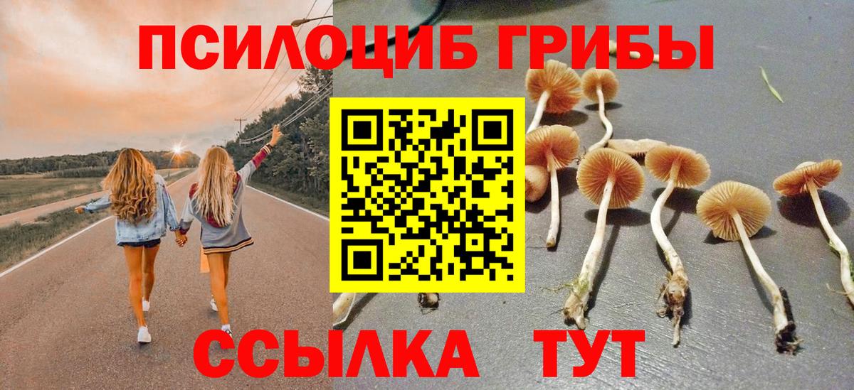 Псилоцибиновые грибы ЛСД Комсомольск-на-Амуре